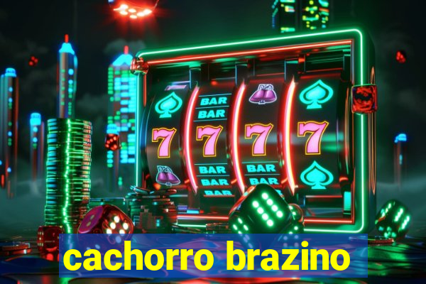 cachorro brazino